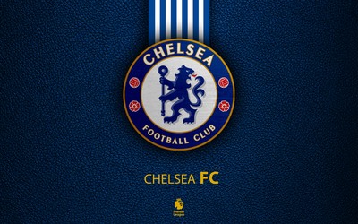 凤凰体育-加比马丁当选球队队长